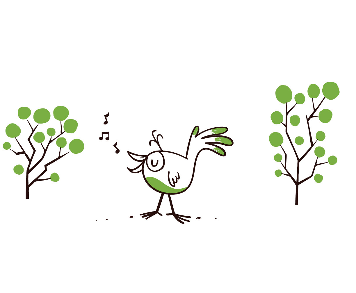 bird
