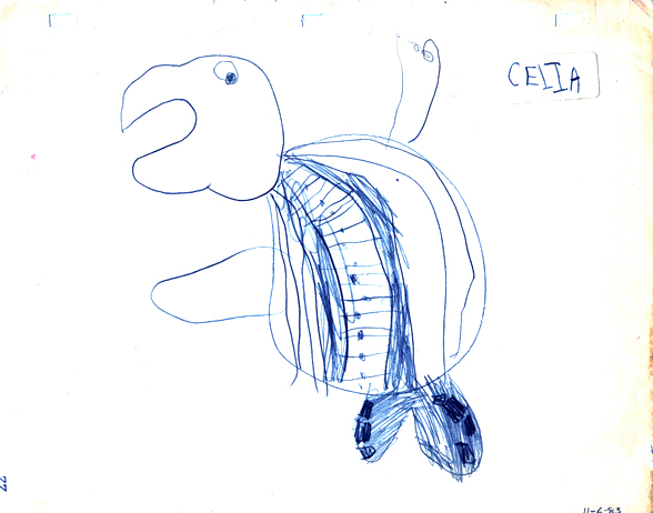 turtle